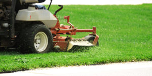 mow your lawn regularly for proper summer lawn maintenance