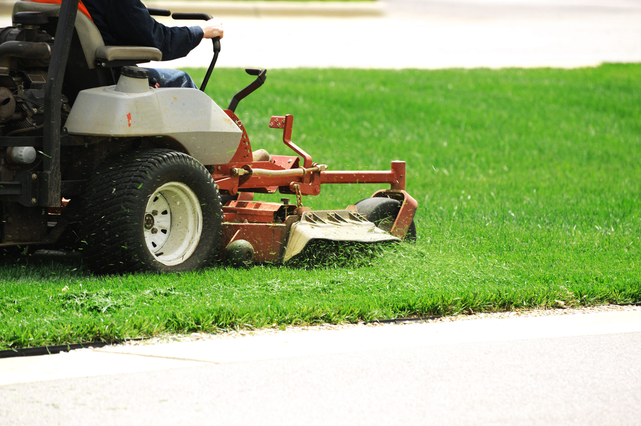 lawn-maintenance-care-bayside-landscaping