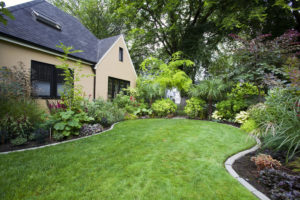 fertilize you lawn as part of your fall lawn care maintenance