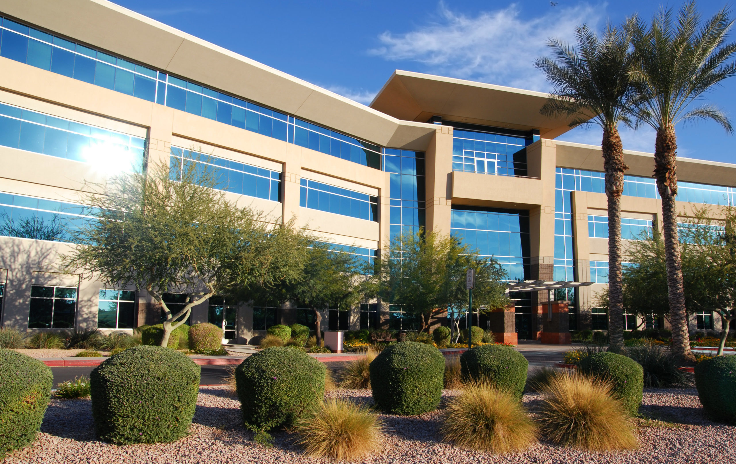 Commercial landscaping services at office building