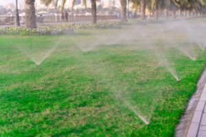 set up a watering schedule as part of your fall lawn care 