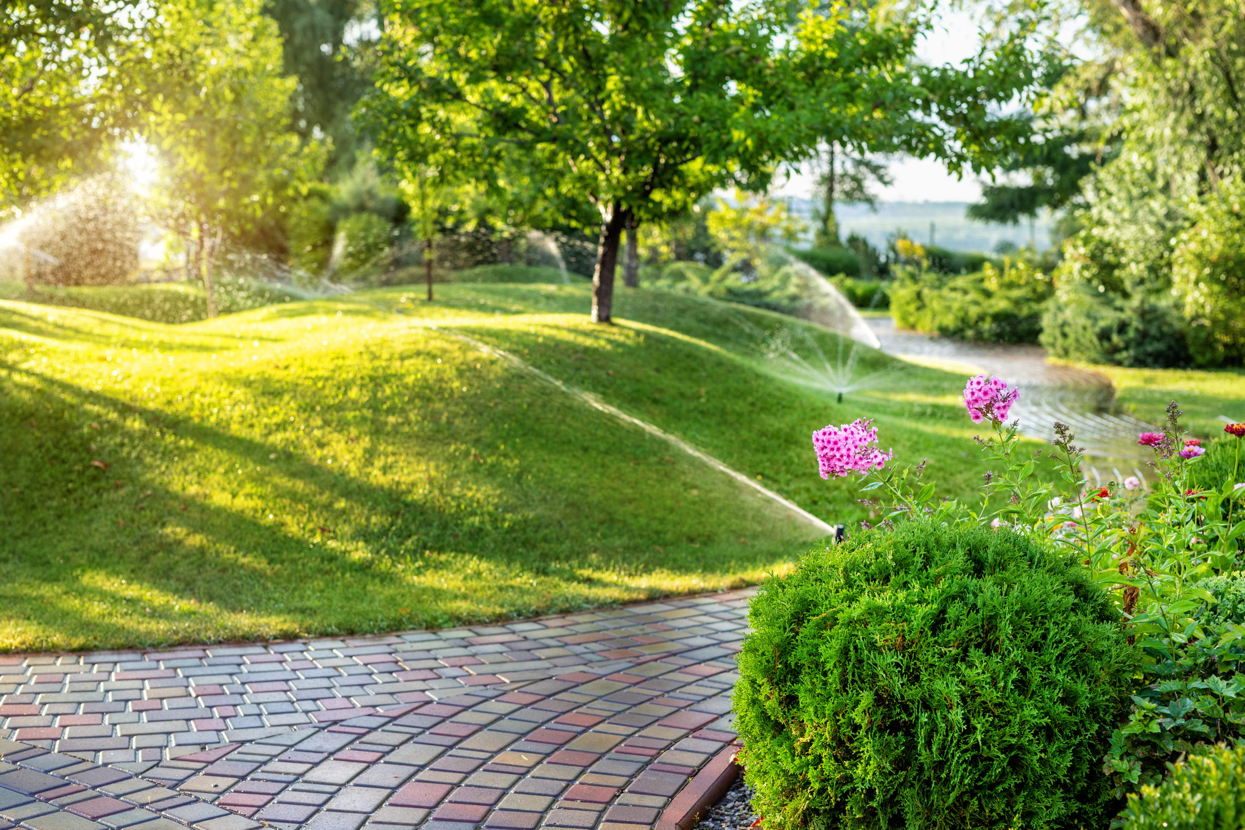 5 Important Reasons For Summer Lawn Maintenance In 2023 Bayside Landscaping 7