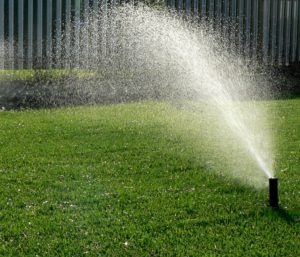 water regularly for summer lawn maintenance