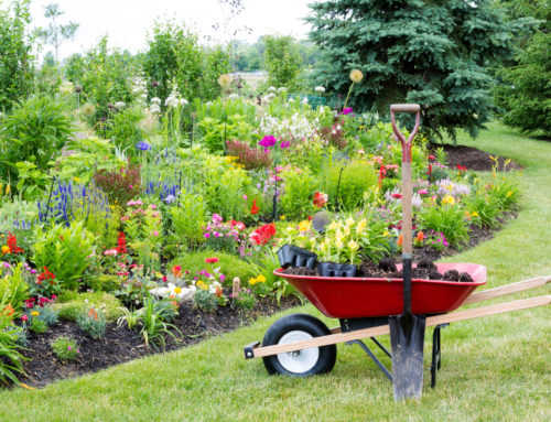 How to Start a Landscaping Project